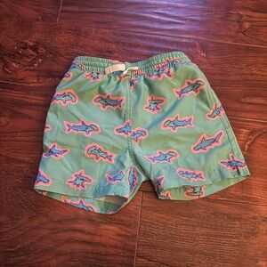 chubbies Mint Green Shark Swim Trunks with Pink & Blue Accents
